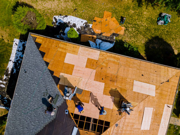 Roof Waterproofing Services in Mount Pleasant, TN