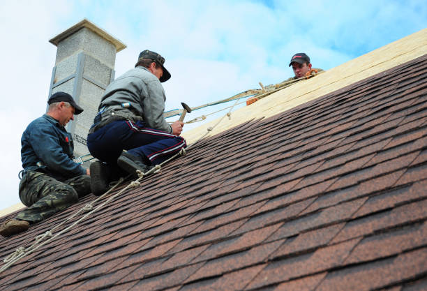 Professional Roofing Contractor in Mount Pleasant, TN